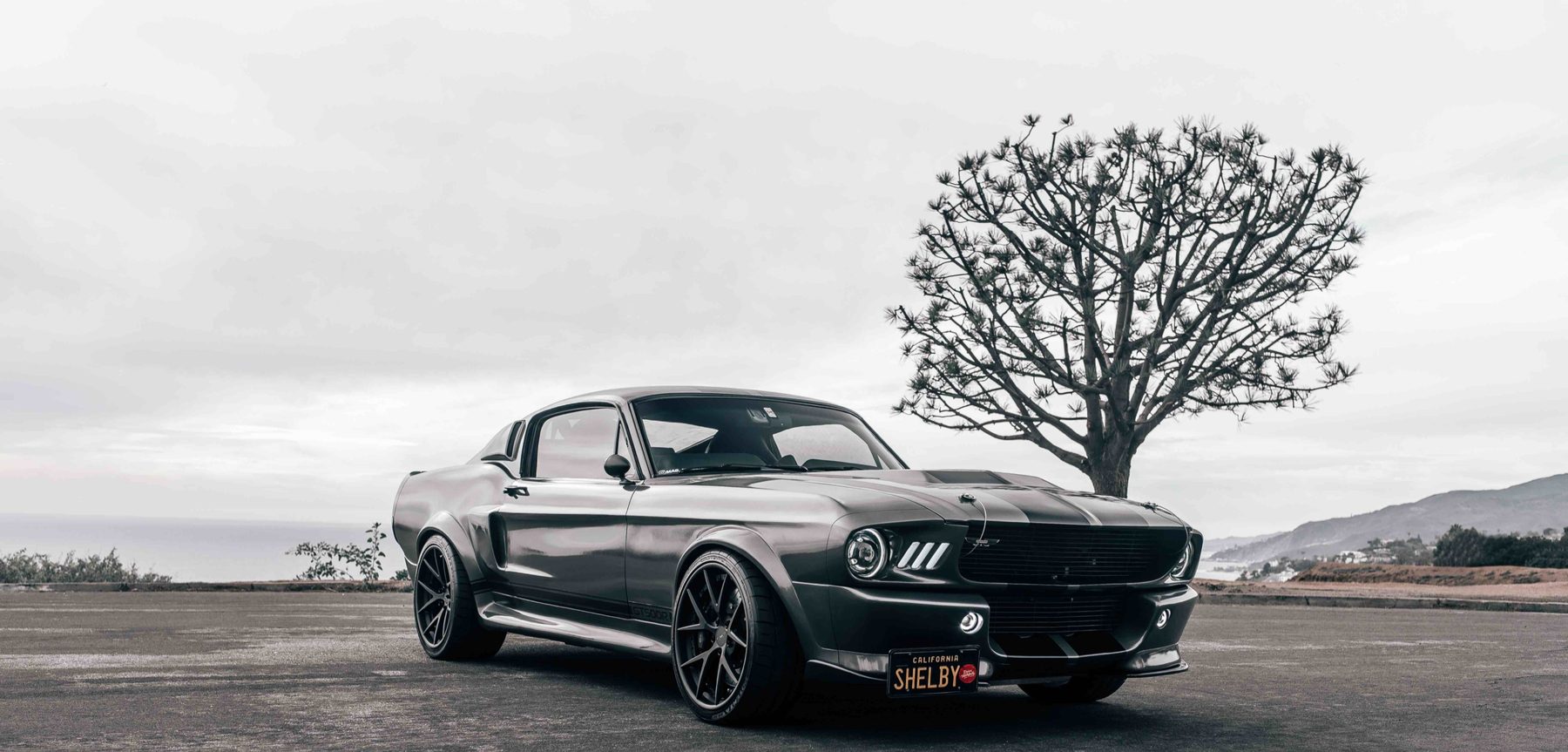 Wide studio view of a MAGStang GT500R