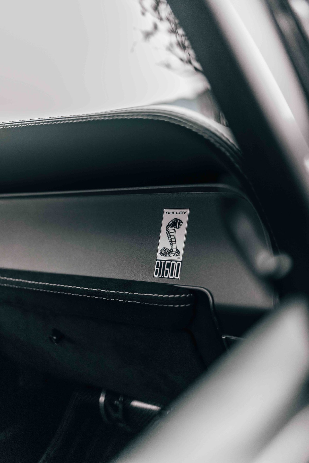 MAGStang analog gauge detail